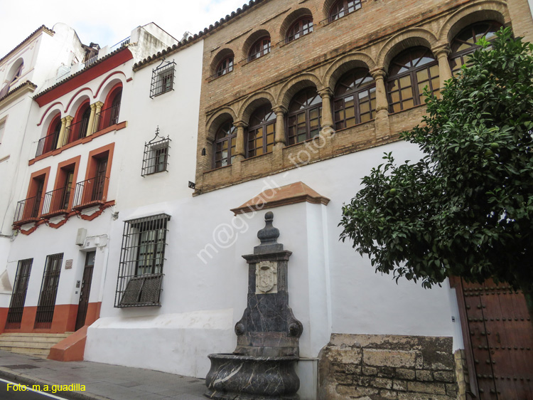 CORDOBA (529) Calle San Fernando