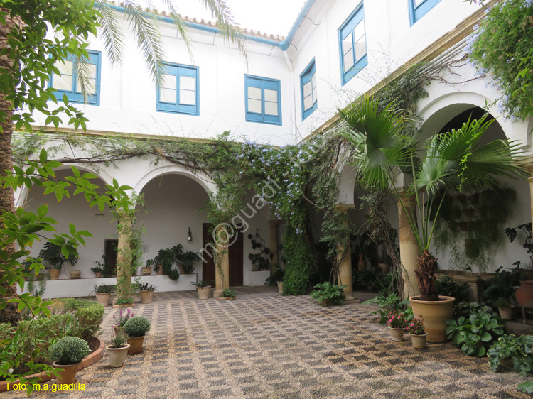 CORDOBA (556) Palacio de Viana