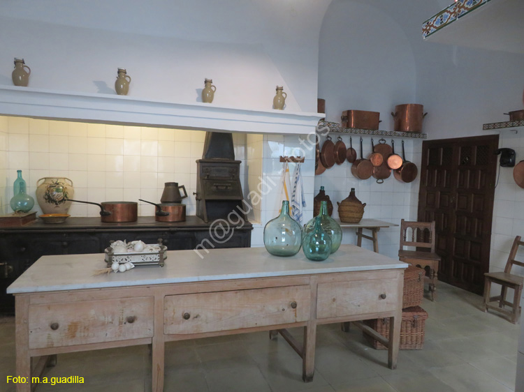 CORDOBA (559) Palacio de Viana