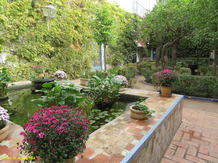 CORDOBA (561) Palacio de Viana