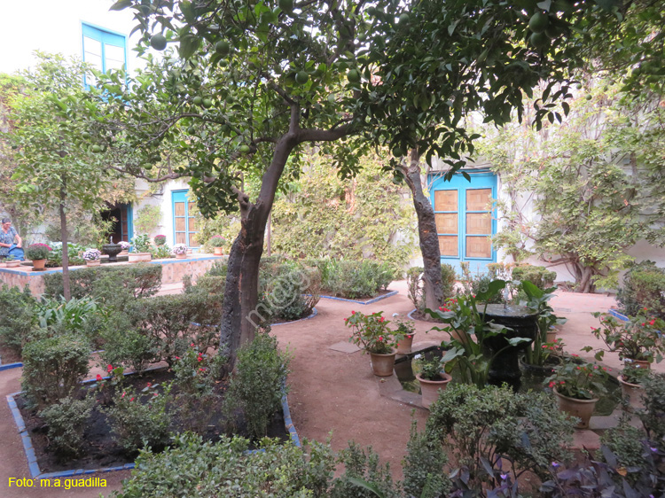 CORDOBA (562) Palacio de Viana