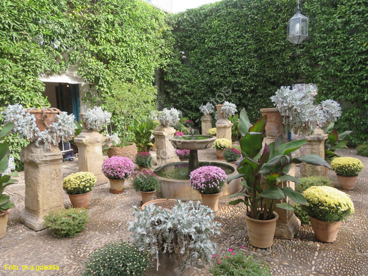 CORDOBA (564) Palacio de Viana