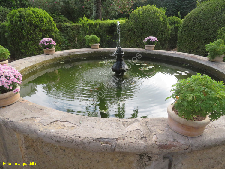 CORDOBA (569) Palacio de Viana