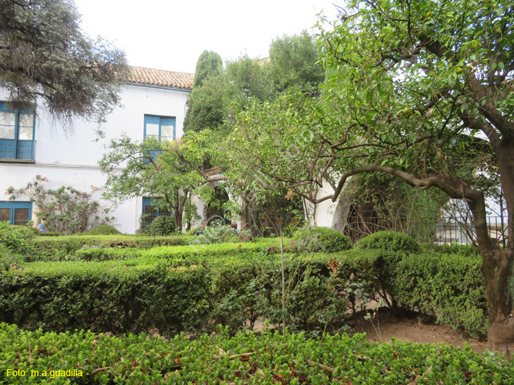 CORDOBA (570) Palacio de Viana