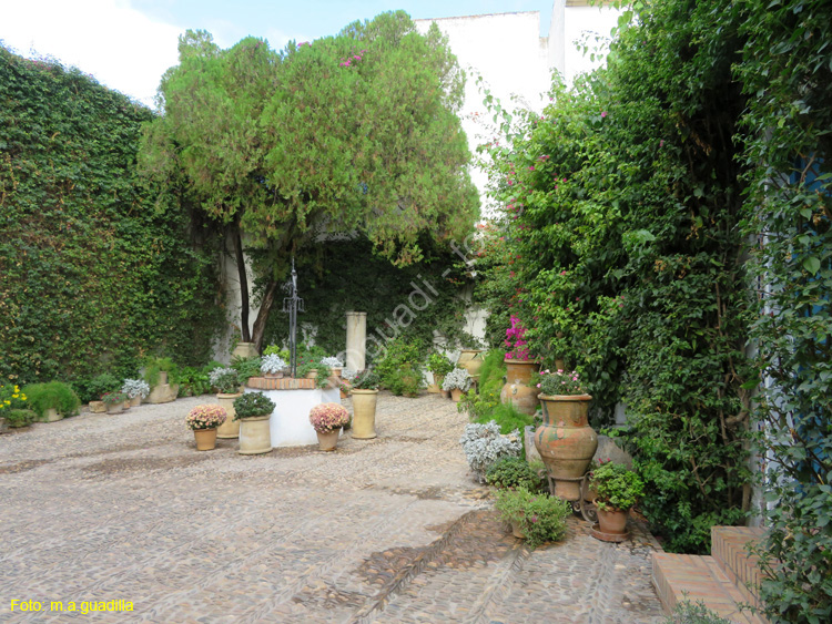 CORDOBA (572) Palacio de Viana