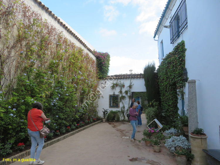 CORDOBA (580) Palacio de Viana