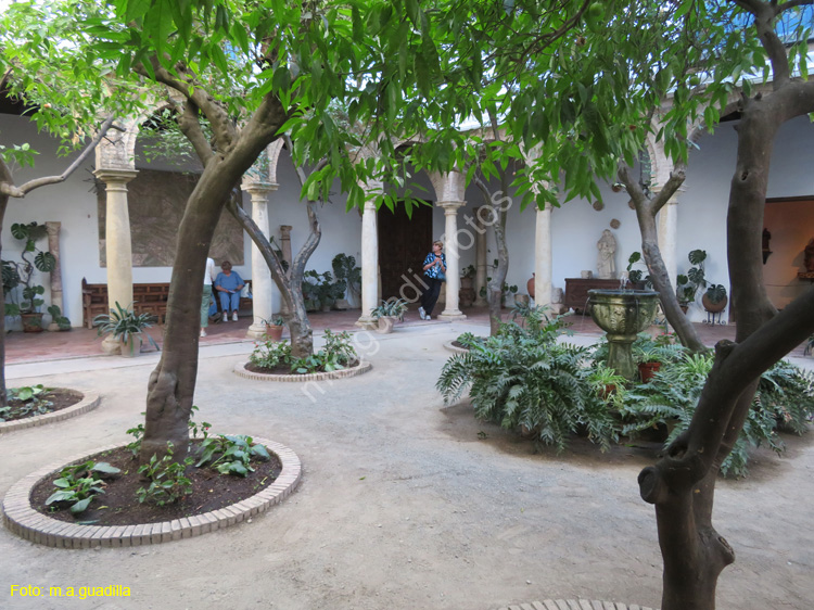 CORDOBA (586) Palacio de Viana