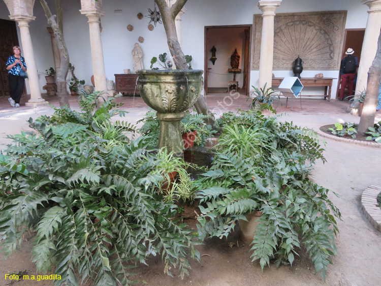 CORDOBA (587) Palacio de Viana