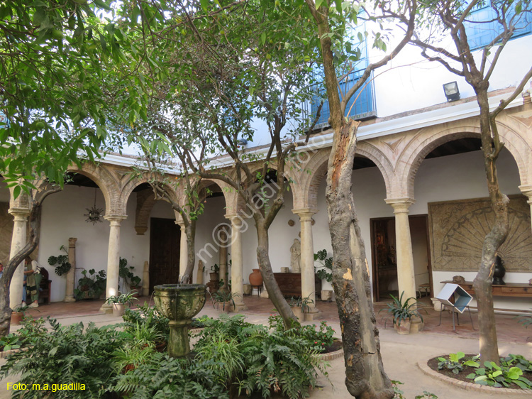 CORDOBA (596) Palacio de Viana