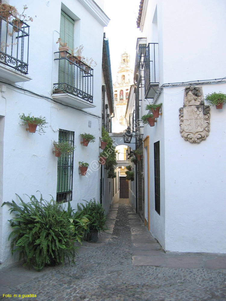 CORDOBA (666) Calle de las Flores 2008