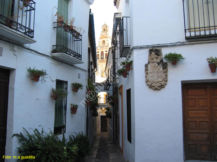 CORDOBA (667) Calle de las Flores 2008
