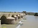 CORDOBA (107) Puente Romano 2008