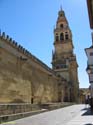 CORDOBA (156) Mezquita Catedral 2008