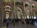 CORDOBA (190) Mezquita Catedral
