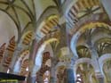 CORDOBA (201) Mezquita Catedral