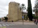 CORDOBA (278) Alcazar de los Reyes Cristianos