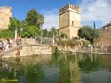CORDOBA (288) Alcazar de los Reyes Cristianos