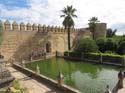CORDOBA (291) Alcazar de los Reyes Cristianos