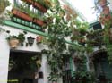 CORDOBA (398) Patio Calle San Basilio