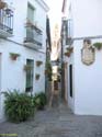 CORDOBA (666) Calle de las Flores 2008