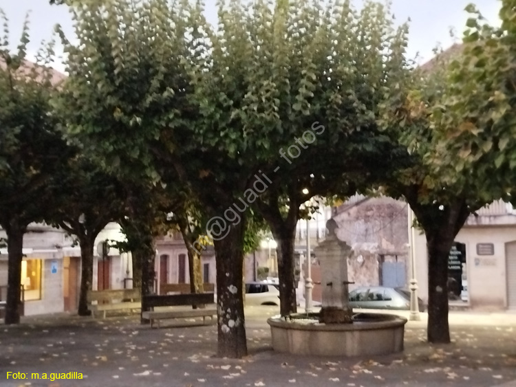 CUNTIS (113)