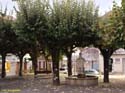 CUNTIS (113)