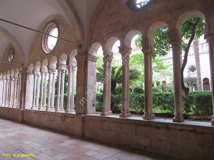Dubrovnik (204) Monasterio Franciscano Antiguo