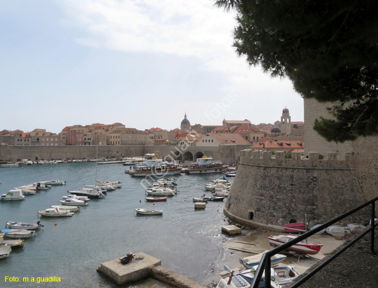 Dubrovnik (282) Puerto Viejo
