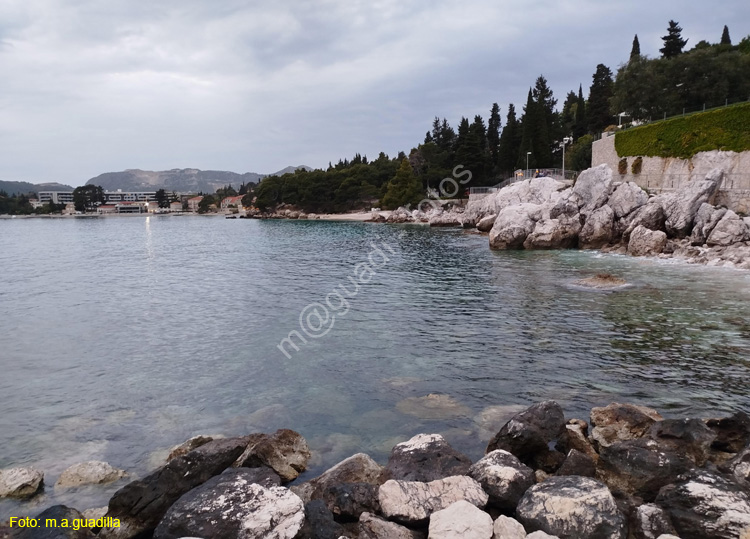 Dubrovnik (408) Mlini