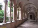 Dubrovnik (363) Monasterio de Santo Domingo
