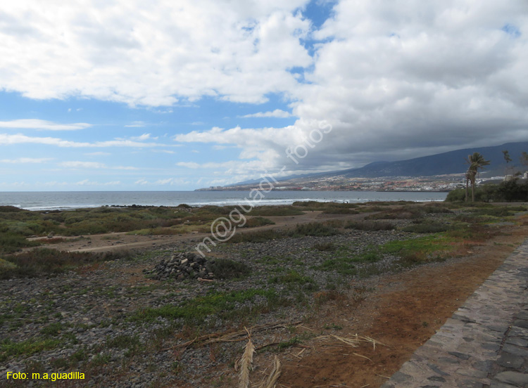 EL MEDANO (101)