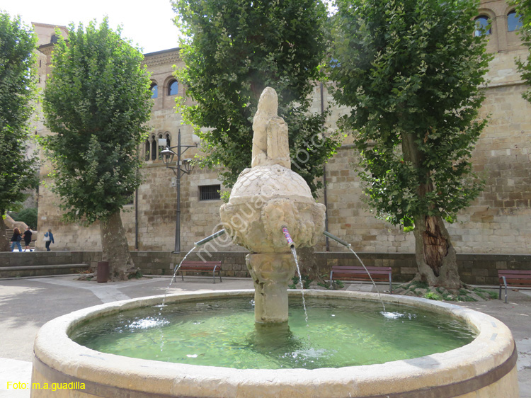 ESTELLA (244) Plaza de San Martin