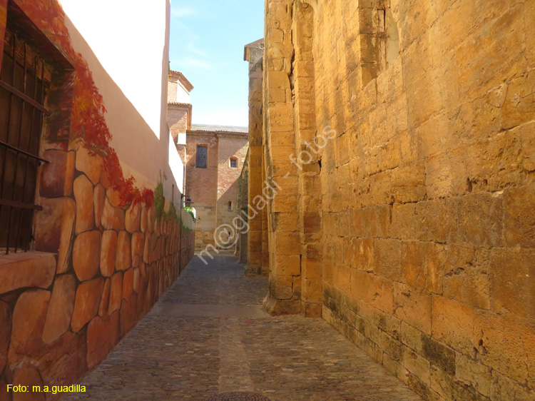 FITERO (216) Monasterio de Santa Maria la Real