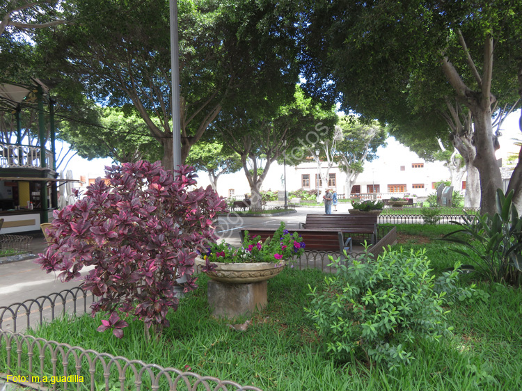 GARACHICO (122)