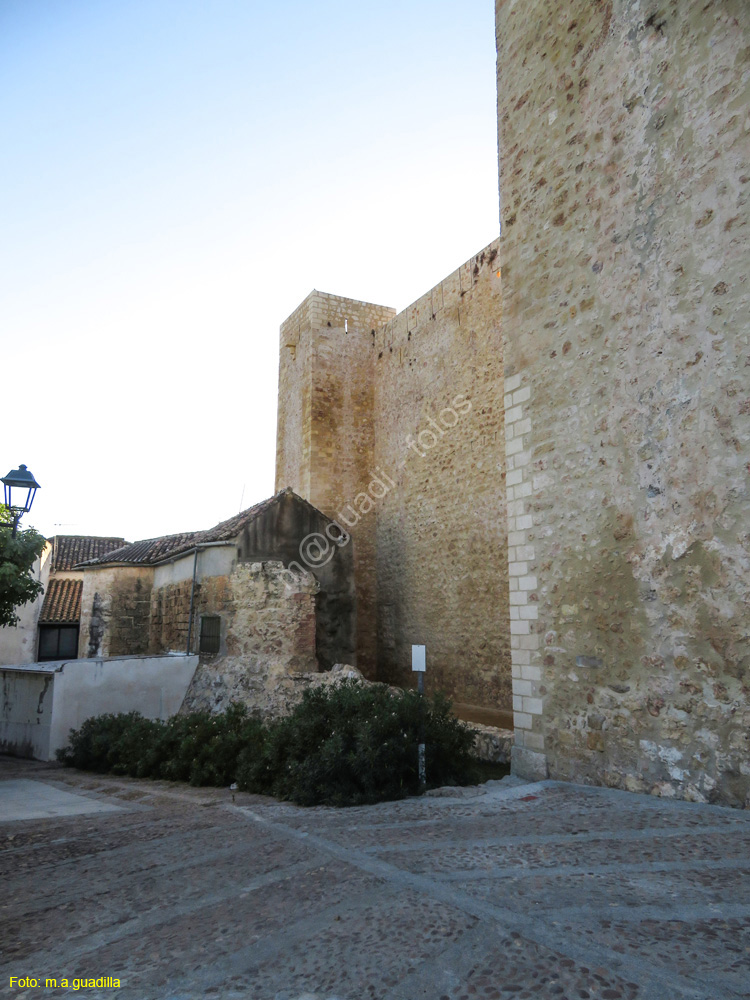 HORNACHUELOS (113) Castillo