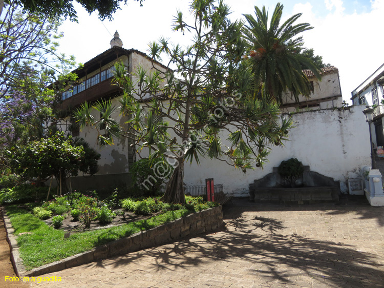 ICOD DE LOS VINOS (110)