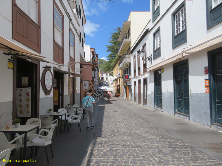 ICOD DE LOS VINOS (147)