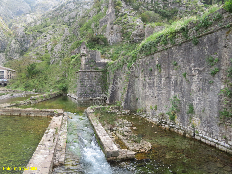 Montenegro - Kotor (108) Muralla