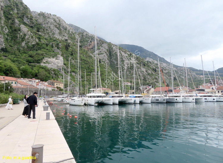 Montenegro - Kotor (218) Puerto