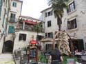 Montenegro - Kotor (196) Casco Antiguo