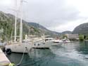 Montenegro - Kotor (222) Puerto