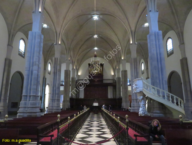 LA LAGUNA (165) Catedral de los Remedios