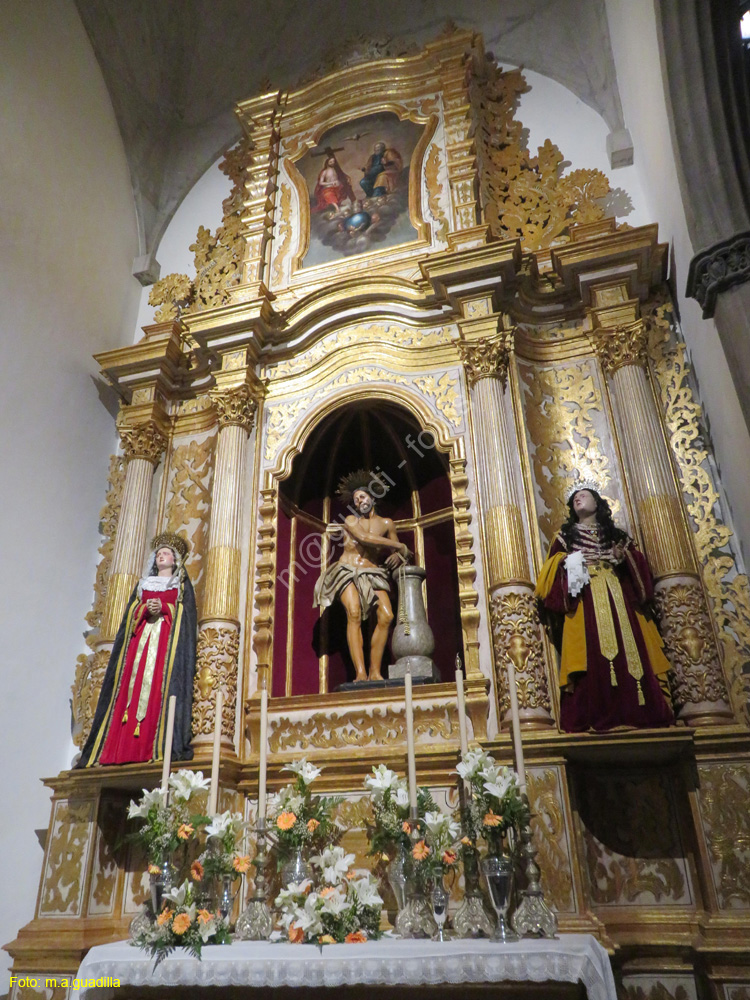 LA LAGUNA (169) Catedral de los Remedios