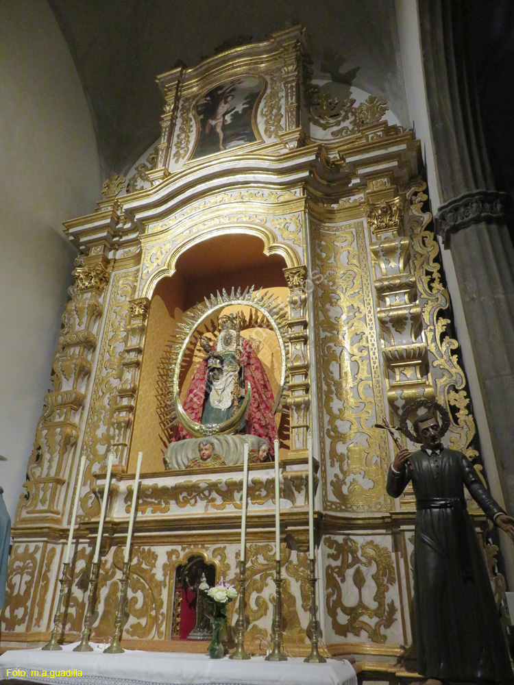 LA LAGUNA (170) Catedral de los Remedios