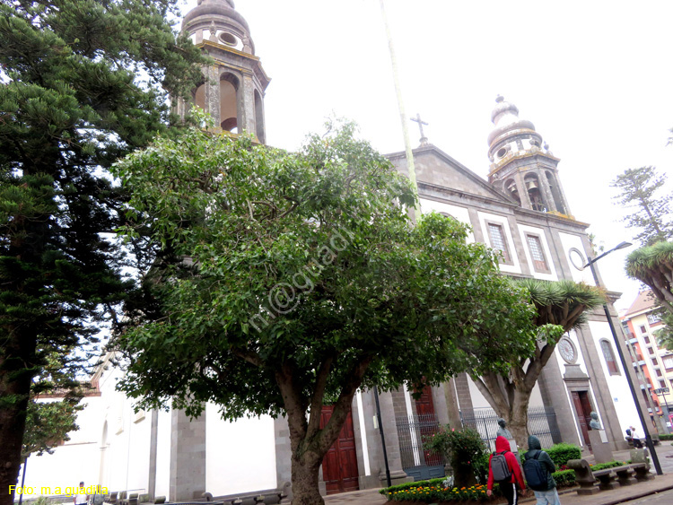 LA LAGUNA (182) Catedral de los Remedios