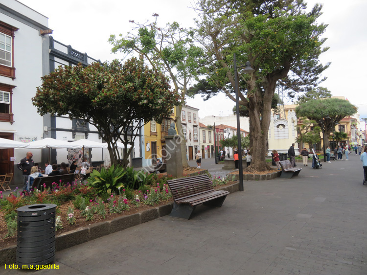 LA LAGUNA (220) Plaza de la Concepcion