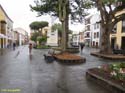 LA LAGUNA (215) Plaza de la Concepcion
