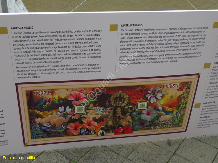 LA OROTAVA (131) Ayuntamiento