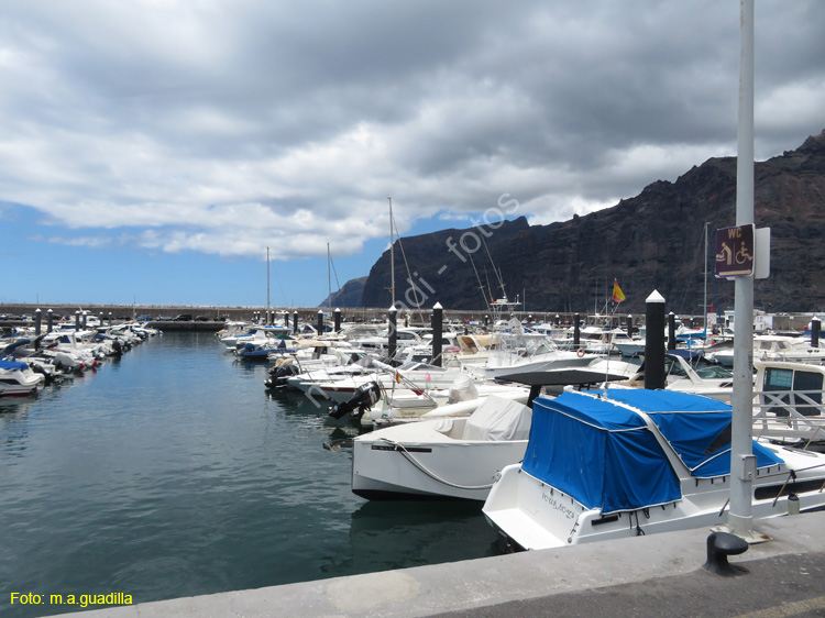 LOS GIGANTES (101) Puerto Santiago