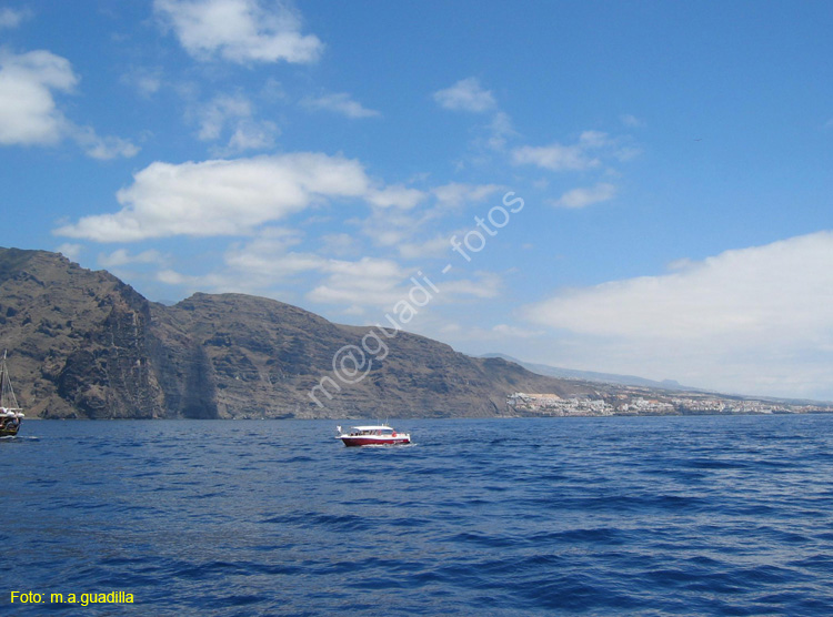 LOS GIGANTES (141) En barco 2007